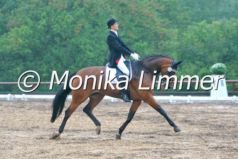 109M3039_Romantik Girl_Dressur_M_e_.jpg